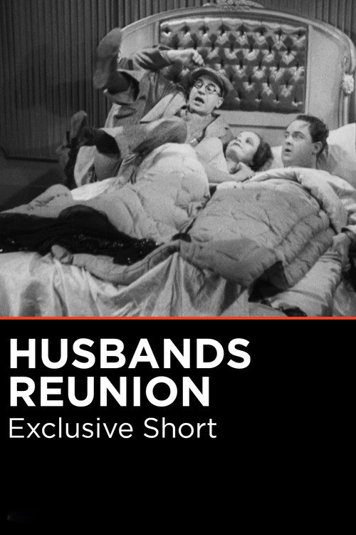 Husbands' Reunion Poster