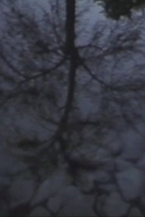 The Water Catalogue Poster