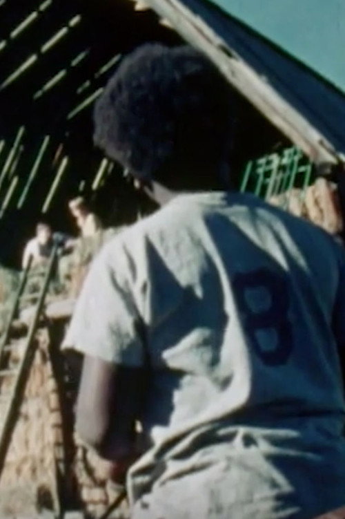 Decisions Decisions! Poster