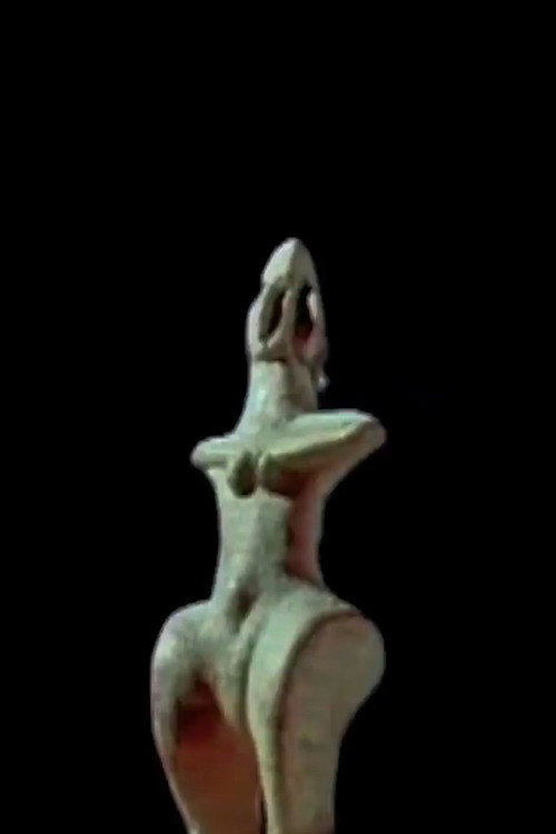 Woman and the Animal Poster