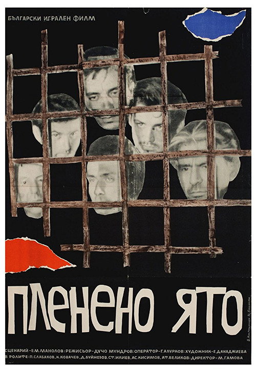 Captive Flock Poster