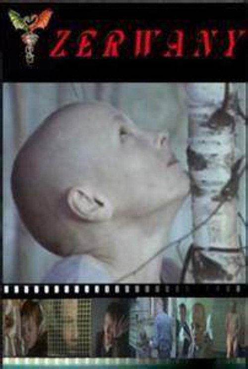 Torn Poster