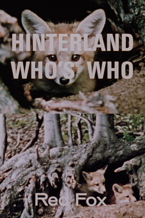 Hinterland Who's Who: Red Fox Poster
