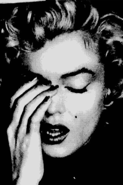 The Marilyn Files Poster