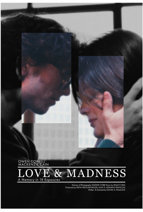Love & Madness Poster