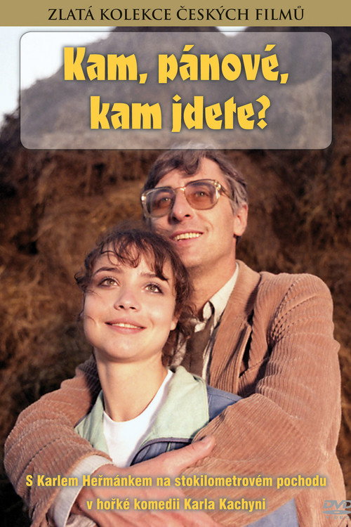 Where, Gentlemen, Where Are You Going? Poster