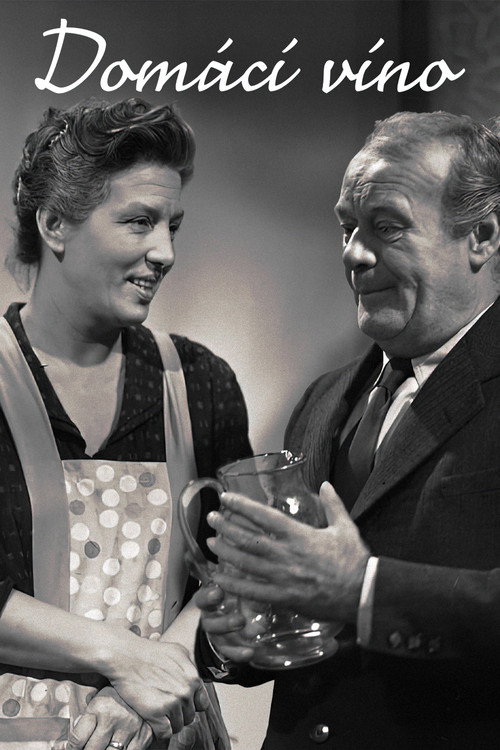 Domácí víno Poster