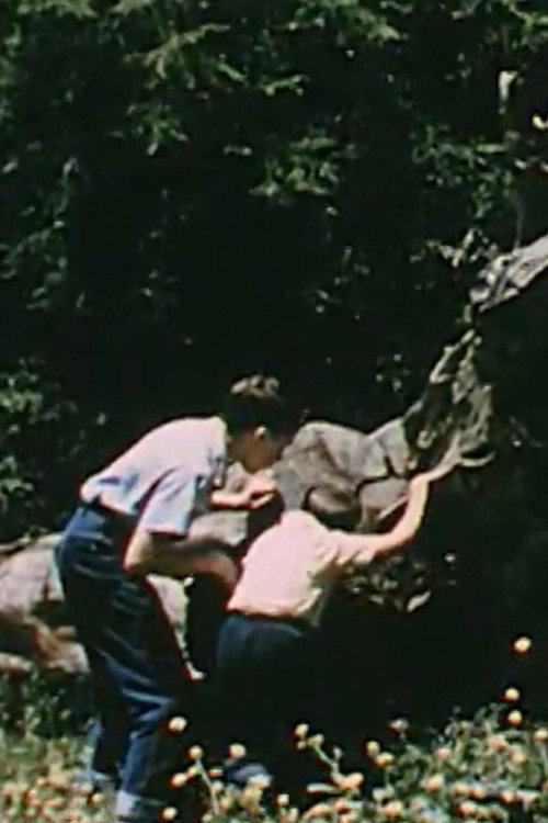 Life On a Dead Tree Poster