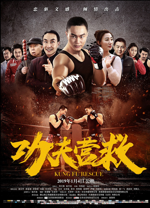 Kung Fu Rescue Poster