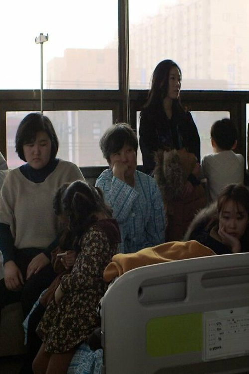 Birds Fly Back to the Nest Poster