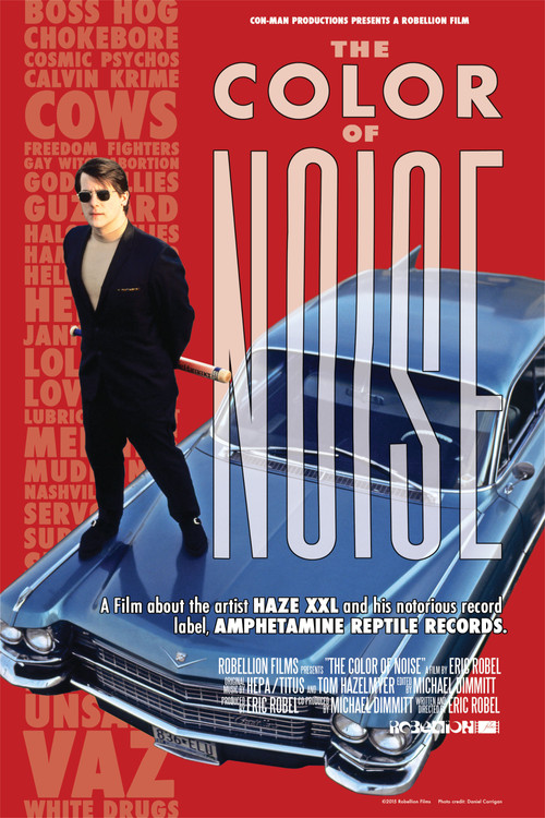 The Color of Noise Poster