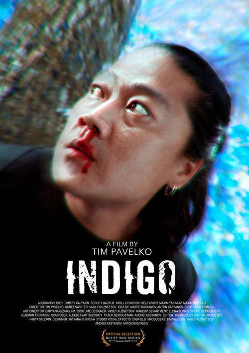 Indigo Poster