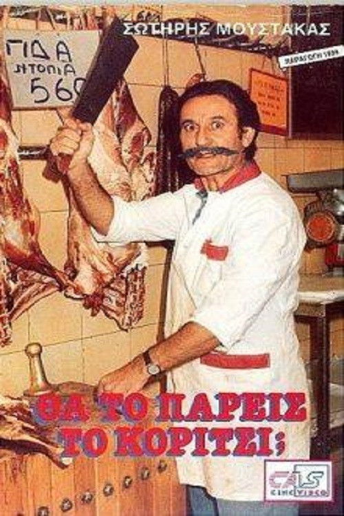 Will You Get The Girl? Poster