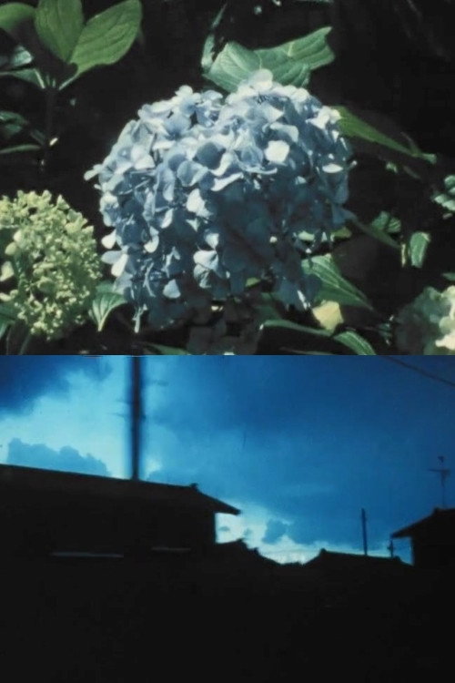Imitating the Flower of Hydrangea Poster