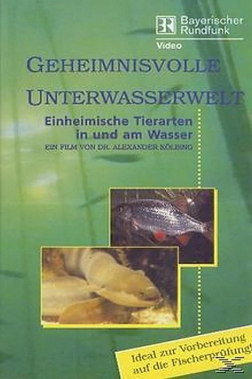 Geheimnisvolle Unterwasserwelt Poster