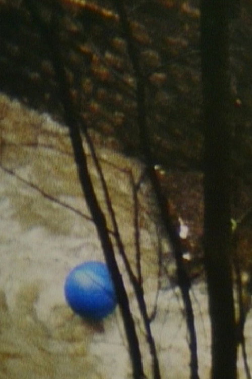Blue Air Balloon Poster