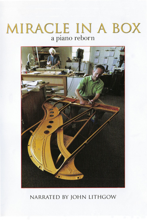 Miracle in a Box: A Piano Reborn Poster
