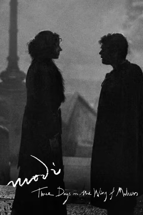 Modi, Three Days on the Wing of Madness Poster