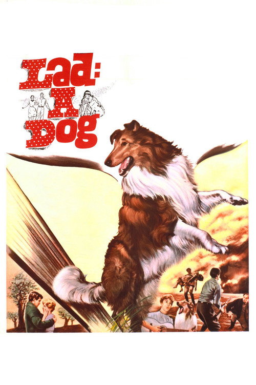 Lad: A Dog Poster