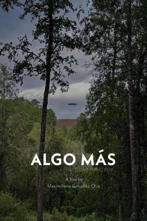 Something Else Poster