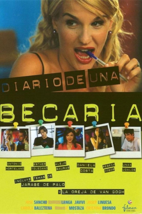 Diario de una becaria Poster