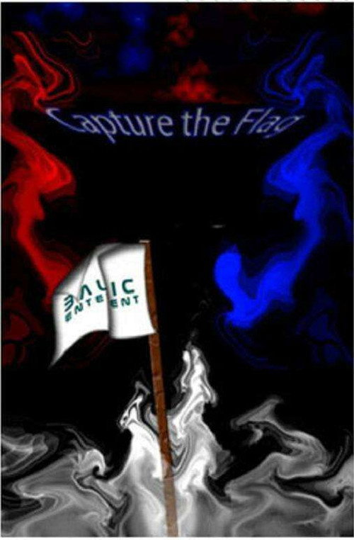 Capture the Flag Poster