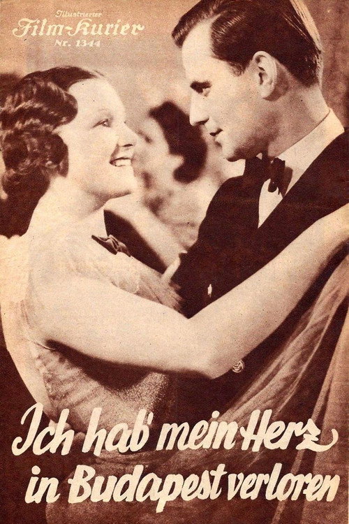 Donaumelodien Poster