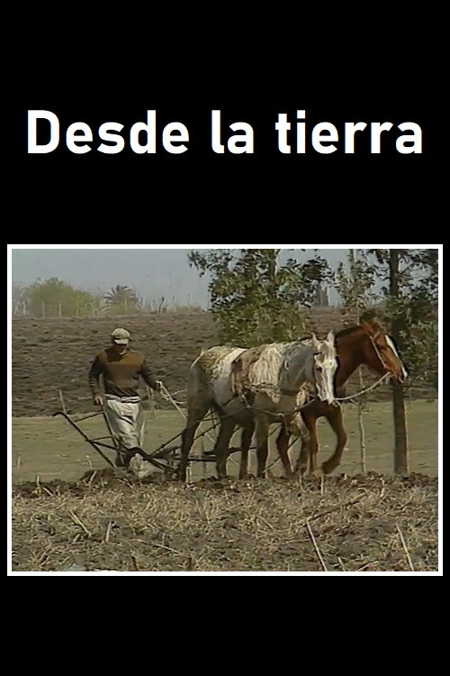 Desde la tierra Poster