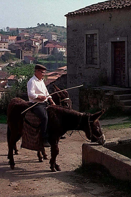 La Terre du viel homme Poster