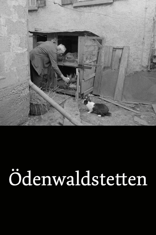 Ödenwaldstetten Poster