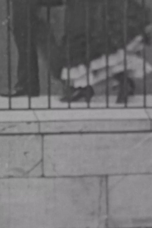 Photograph Taken From An Area Window Poster