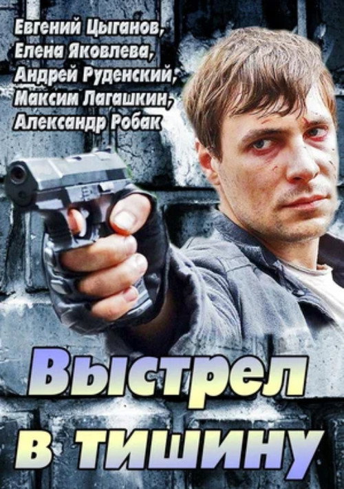 A Shot Into the Silence Poster