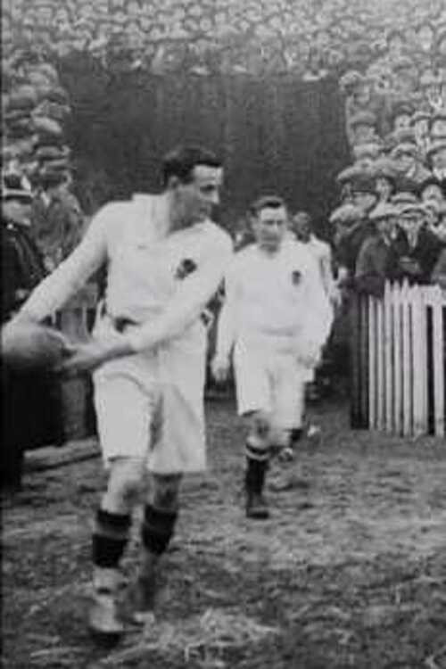 Wales' Wonderful Rugby Win Poster