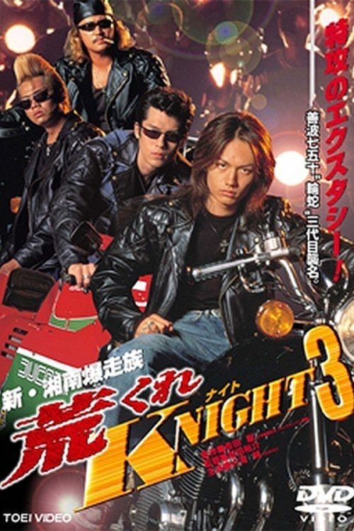 Rough KNIGHT 3 Poster
