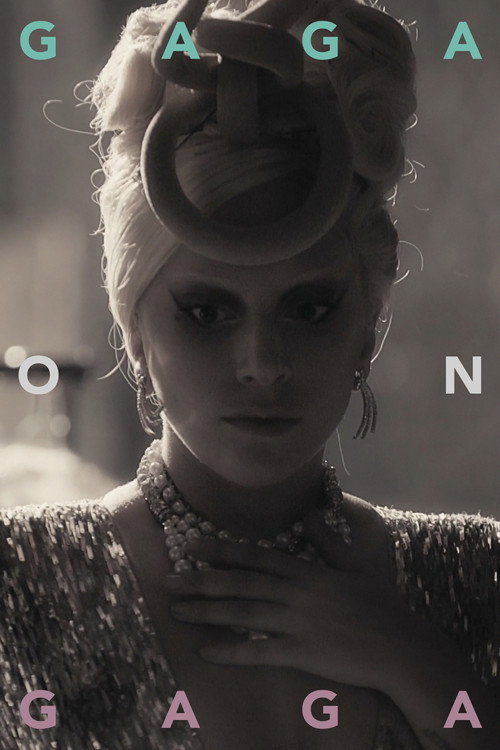 Gaga on Gaga Poster