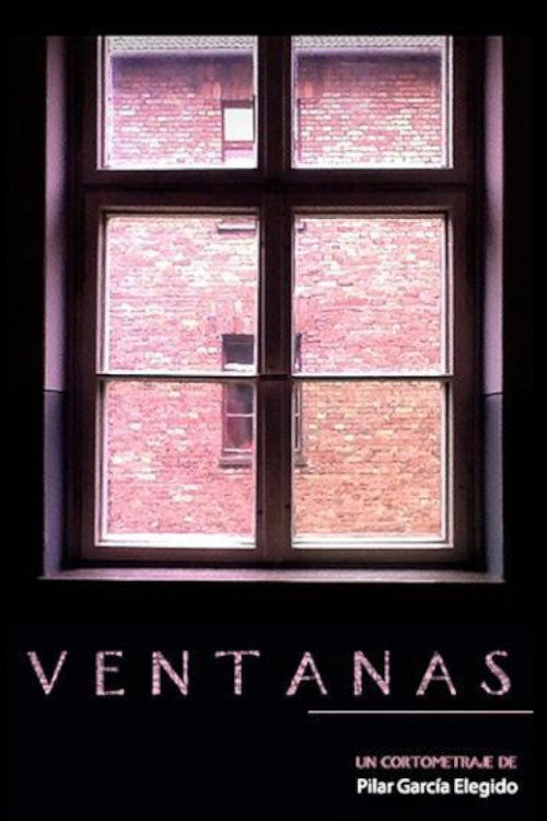 Ventanas Poster