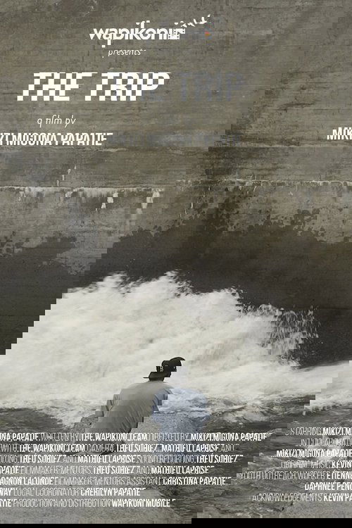 The Trip Poster
