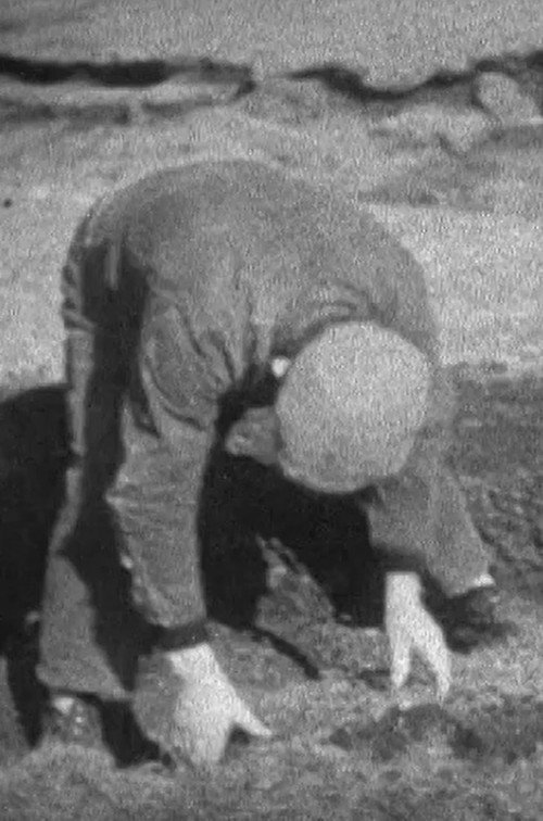 SCENES FROM A SHETLAND CROFT LIFE Poster