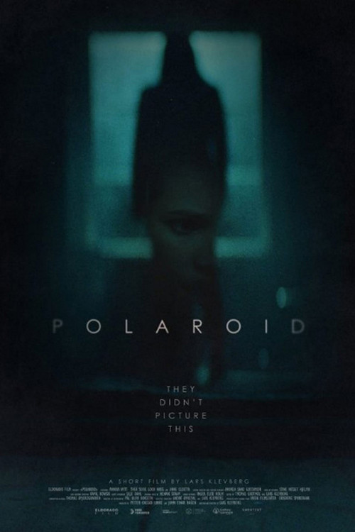 Polaroid Poster