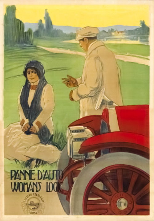 Woman's Logic Poster