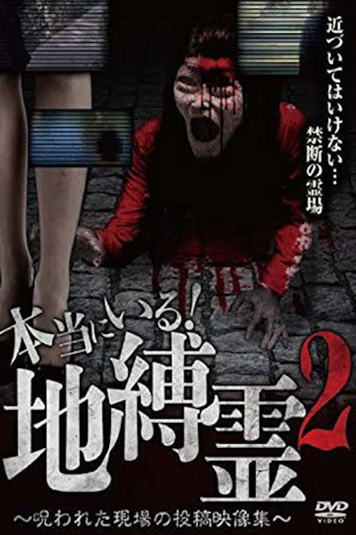 They Really Exist! Earthbound Spirits 2 - Cursed Scene Submitted Video Collection Poster