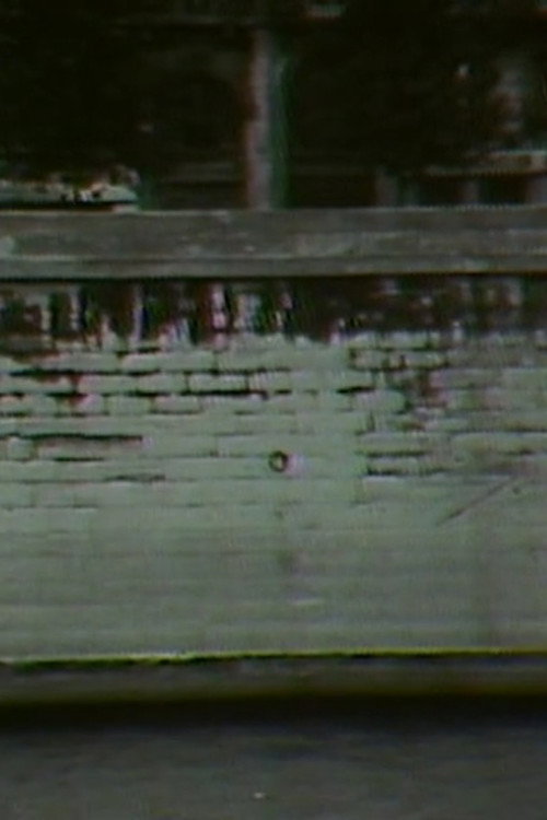 Bridge Film Poster