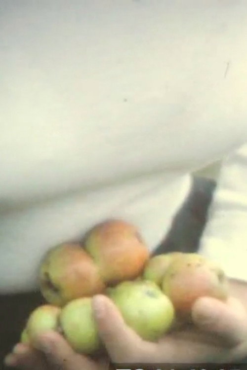 Dry Guerlédan Poster