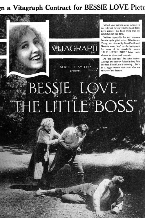 The Little Boss Poster