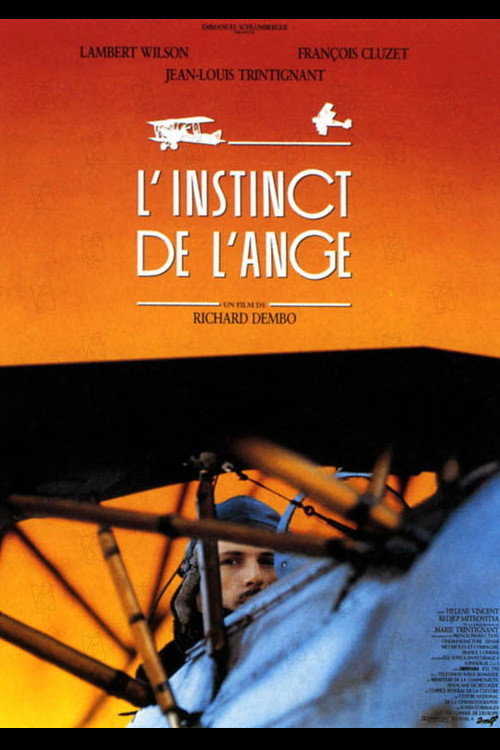 Angel's Wing Poster