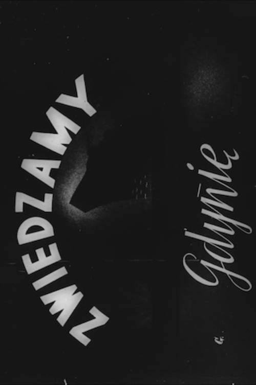 Zwiedzamy Gdynie Poster