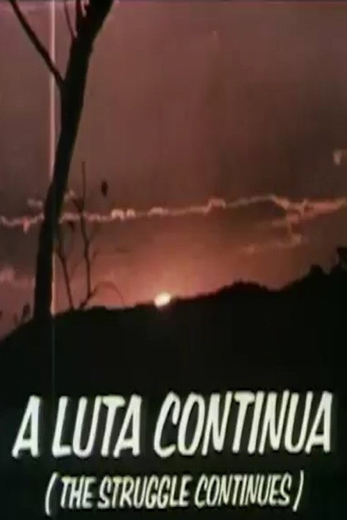 The Struggle Continues Poster