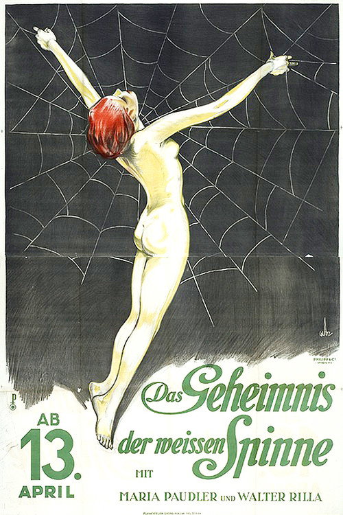 Die weiße Spinne Poster