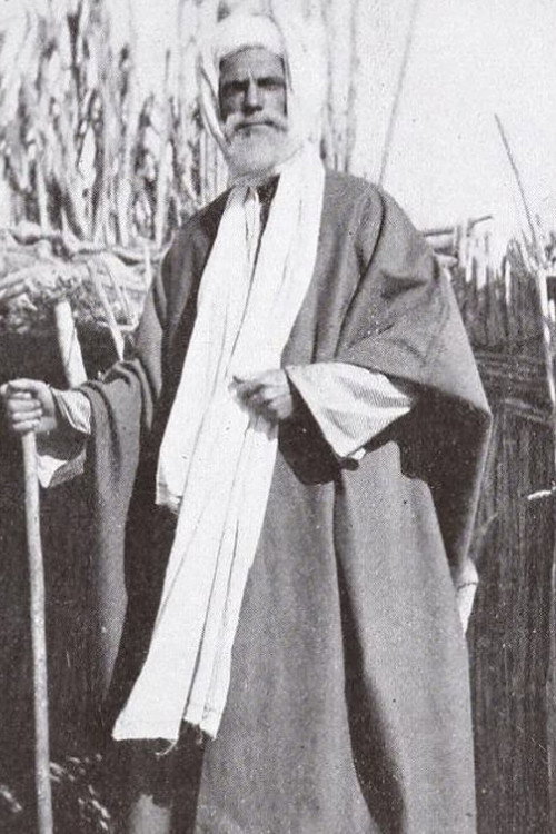 Dust of the Desert Poster