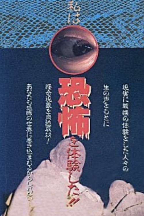 Testimony! I experienced Horror!! Poster